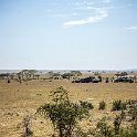 TZA SHI SerengetiNP 2016DEC25 Moru4Area 009 : 2016, 2016 - African Adventures, Africa, Date, December, Eastern, Month, Moru 4 Area, Places, Serengeti National Park, Shinyanga, Tanzania, Trips, Year